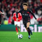 ليفركوزن يعلن إصابة بنصغير في الكاحل وغيابه عن ميادين لعدة أسابيع